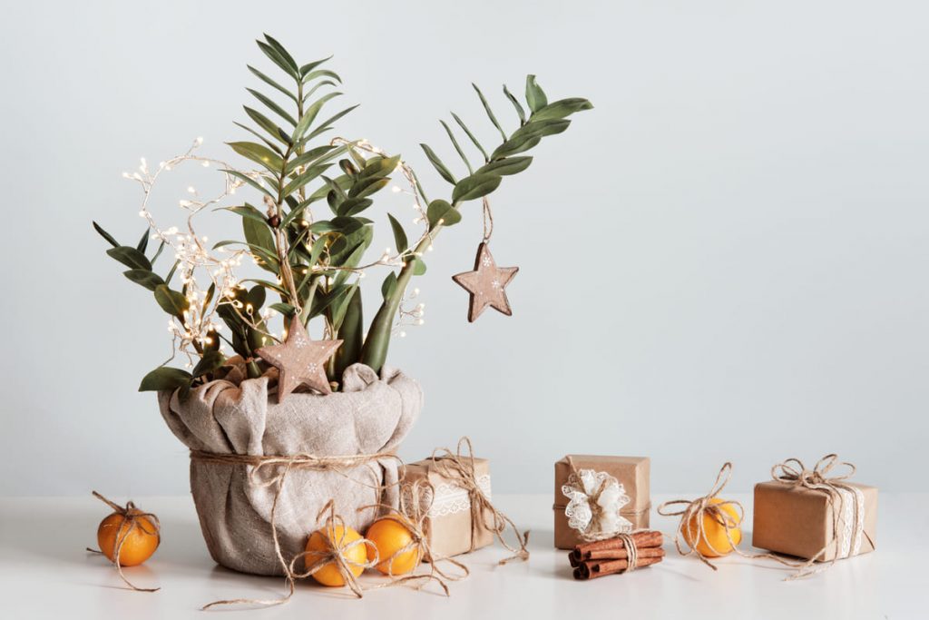 árbol de Navidad sostenible