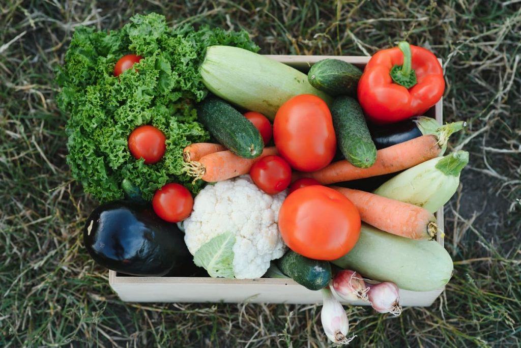 caja de alimentacion ecologica