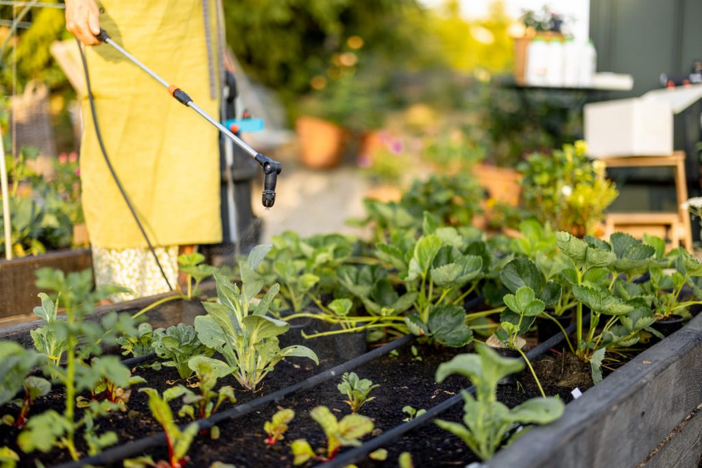 pesticidas alimentacion ecologica