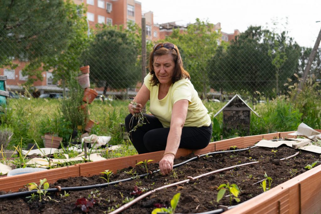 mujer cuidando huerto urbano