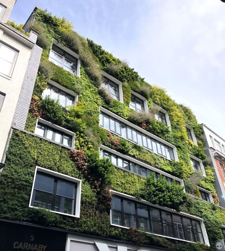 caracteristicas de una ciudad sostenible jardines verticales